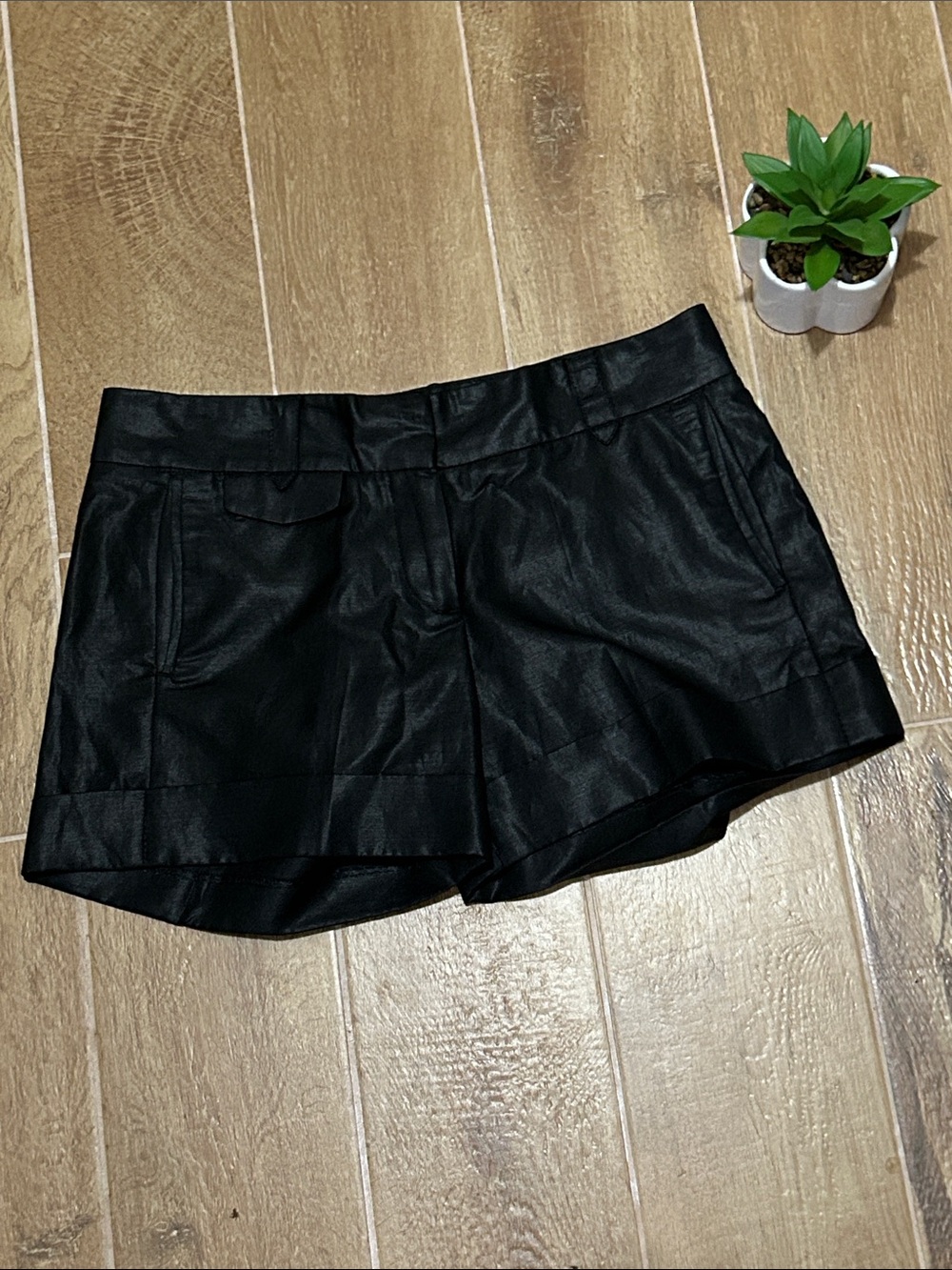 French Connection Shorts